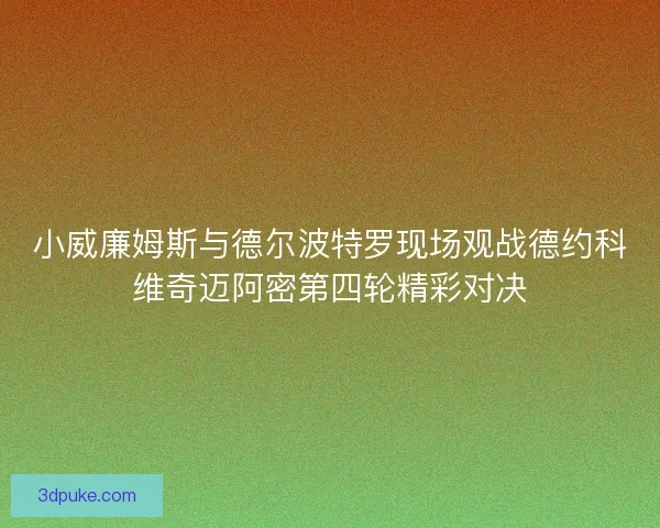 小威廉姆斯与德尔波特罗现场观战德约科维奇迈阿密第四轮精彩对决